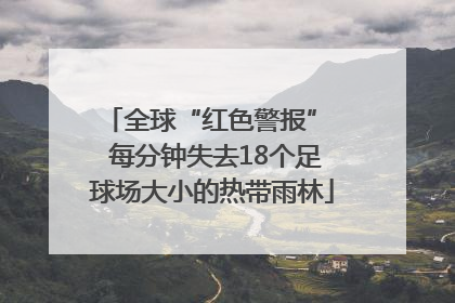 全球“红色警报”  每分钟失去18个足球场大小的热带雨林