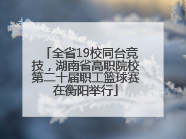 全省19校同台竞技，湖南省高职院校第二十届职工篮球赛在衡阳举行