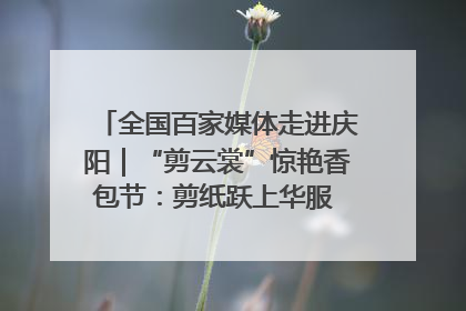 全国百家媒体走进庆阳｜“剪云裳”惊艳香包节：剪纸跃上华服 非遗焕发新彩