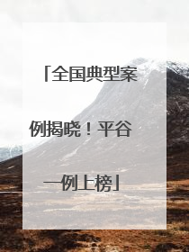 全国典型案例揭晓！平谷一例上榜