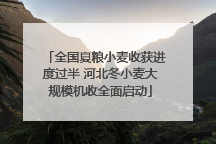全国夏粮小麦收获进度过半 河北冬小麦大规模机收全面启动