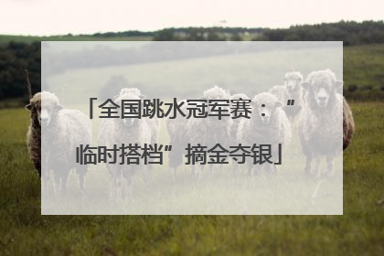 全国跳水冠军赛：“临时搭档”摘金夺银