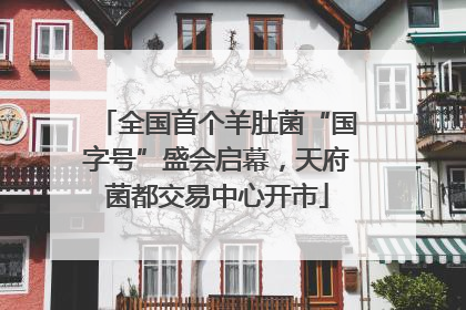 全国首个羊肚菌“国字号”盛会启幕，天府菌都交易中心开市