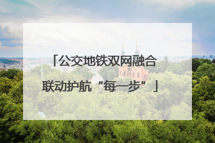 公交地铁双网融合 联动护航“每一步”