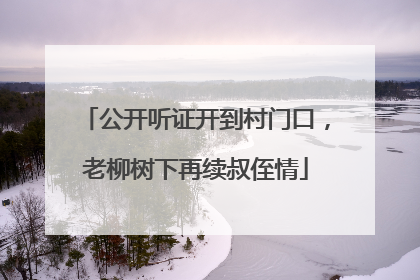 公开听证开到村门口，老柳树下再续叔侄情