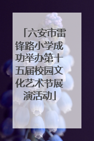 六安市雷锋路小学成功举办第十五届校园文化艺术节展演活动