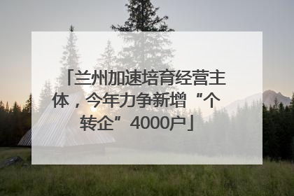 兰州加速培育经营主体，今年力争新增“个转企”4000户