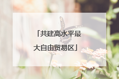 共建高水平最大自由贸易区