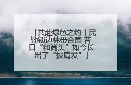 共赴绿色之约丨民勤锁边林带合围 昔日“和尚头”如今长出了“披肩发”