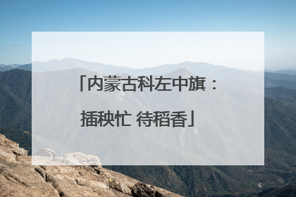内蒙古科左中旗：插秧忙 待稻香