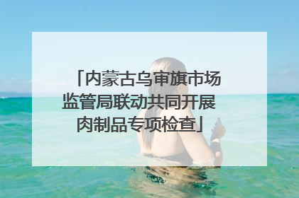 内蒙古乌审旗市场监管局联动共同开展肉制品专项检查