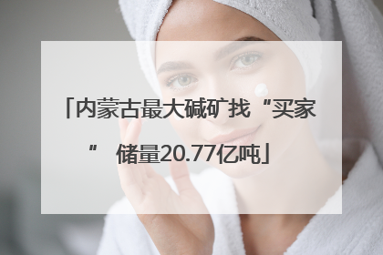 内蒙古最大碱矿找“买家” 储量20.77亿吨