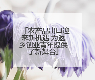 农产品出口迎来新机遇 为返乡创业青年提供了新舞台