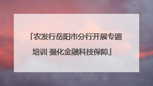 农发行岳阳市分行开展专题培训 强化金融科技保障