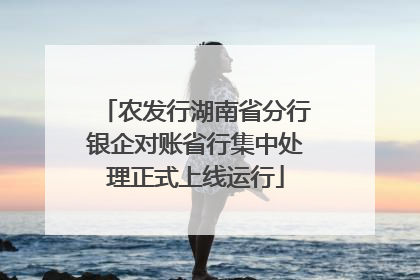 农发行湖南省分行银企对账省行集中处理正式上线运行