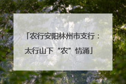 农行安阳林州市支行：太行山下“农”情涌