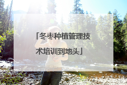 冬枣种植管理技术培训到地头