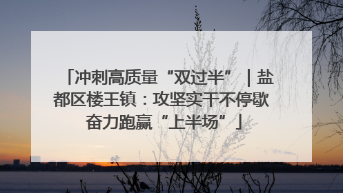 冲刺高质量“双过半”｜盐都区楼王镇：攻坚实干不停歇 奋力跑赢“上半场”