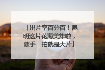 出片率百分百！昆明这片花海美炸啦，随手一拍就是大片