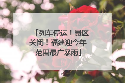 列车停运！景区关闭！福建迎今年范围最广暴雨