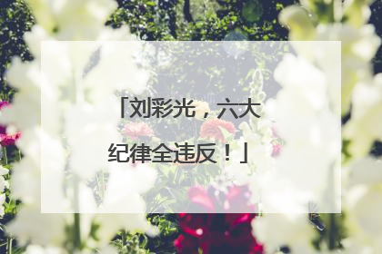 刘彩光，六大纪律全违反！