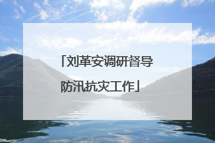 刘革安调研督导防汛抗灾工作