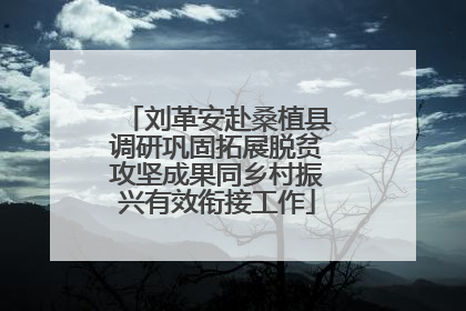 刘革安赴桑植县调研巩固拓展脱贫攻坚成果同乡村振兴有效衔接工作