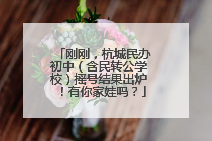 刚刚，杭城民办初中（含民转公学校）摇号结果出炉！有你家娃吗？