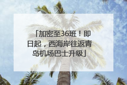 加密至36班！即日起，西海岸往返青岛机场巴士升级