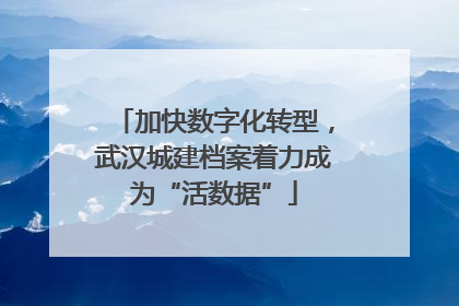 加快数字化转型，武汉城建档案着力成为“活数据”