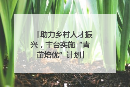 助力乡村人才振兴，丰台实施“青苗培优”计划