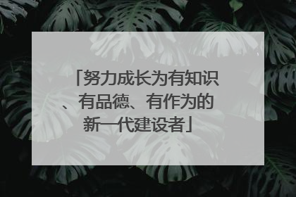 努力成长为有知识、有品德、有作为的新一代建设者