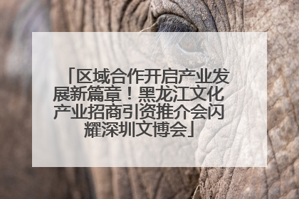 区域合作开启产业发展新篇章！黑龙江文化产业招商引资推介会闪耀深圳文博会