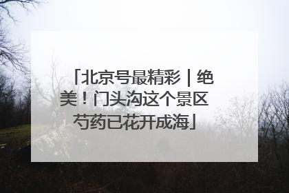北京号最精彩｜绝美！门头沟这个景区芍药已花开成海