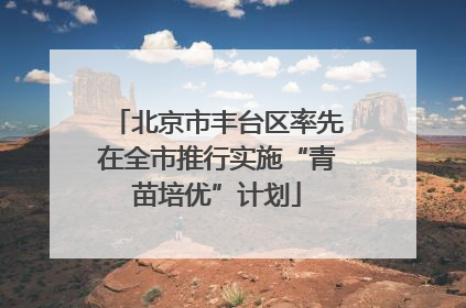 北京市丰台区率先在全市推行实施“青苗培优”计划