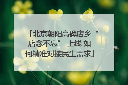 北京朝阳高碑店乡“店念不忘” 上线 如何精准对接民生需求
