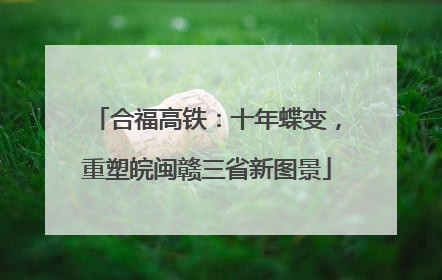 合福高铁：十年蝶变，重塑皖闽赣三省新图景