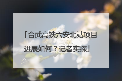 合武高铁六安北站项目进展如何？记者实探