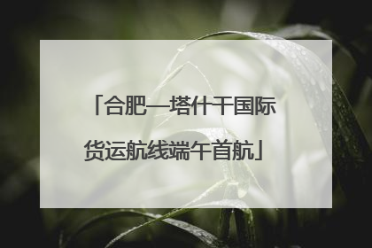 合肥—塔什干国际货运航线端午首航