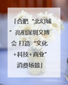 合肥“北幻城”亮相深圳文博会 打造“文化+科技+商业”消费场景