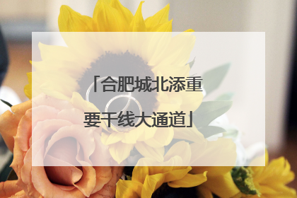 合肥城北添重要干线大通道