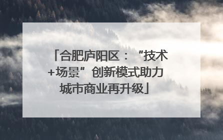 合肥庐阳区：“技术+场景”创新模式助力城市商业再升级