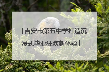 吉安市第五中学打造沉浸式毕业狂欢新体验