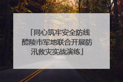 同心筑牢安全防线 醴陵市军地联合开展防汛救灾实战演练