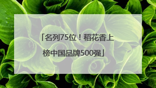 名列75位！稻花香上榜中国品牌500强