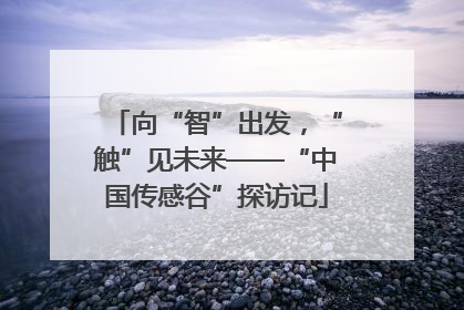 向“智”出发，“触”见未来——“中国传感谷”探访记