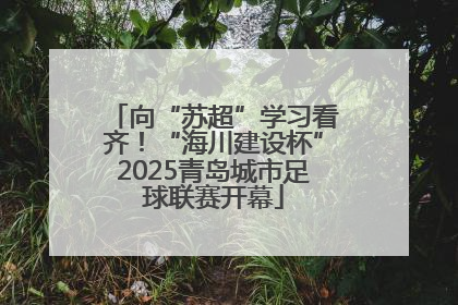 向“苏超”学习看齐！“海川建设杯”2025青岛城市足球联赛开幕