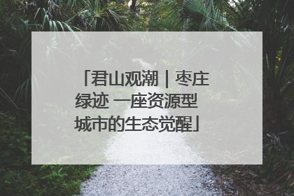 君山观潮｜枣庄绿迹 一座资源型城市的生态觉醒