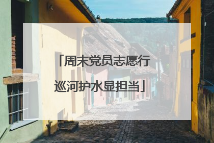 周末党员志愿行 巡河护水显担当