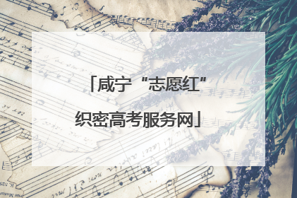 咸宁“志愿红”织密高考服务网